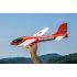Carson Glider Airshot 490