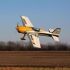E-flite Extra 300 1.3M PNP Aeromodello acrobatico