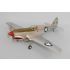 Phoenix Model P40 Kitty Hawk .61-91/15cc Aeromodello riproduzione