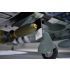 Phoenix Model P47 Thunderbolt 50cc CARBON + carrelli retrattili elettrici Aeromodello riproduzione