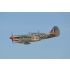 Phoenix Model P40 WARHAWK 50/60cc CARBON ARF + DLE 55 RA Aeromodello riproduzione