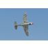 Phoenix Model P40 WARHAWK 50/60cc CARBON ARF + DLE 55 RA Aeromodello riproduzione