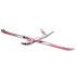 Roc Hobby V-tail Glider 220cm + 2 x FullPower 3S 1300 mAh