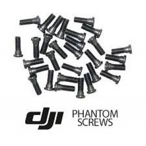DJI Part21 Phantom 2 Set viti