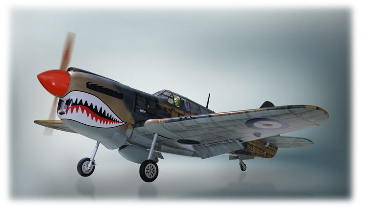 img-combo-Phoenix Model P40 WARHAWK 50-60cc CARBON ARF Aeromodello riproduzione